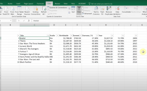 Screen picture of Excel file